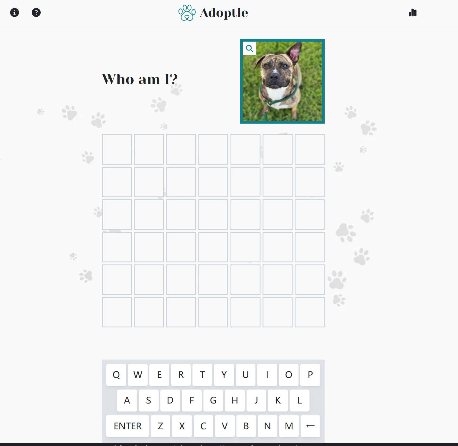 Canuckle Daily Canadian Word Guessing Challenge